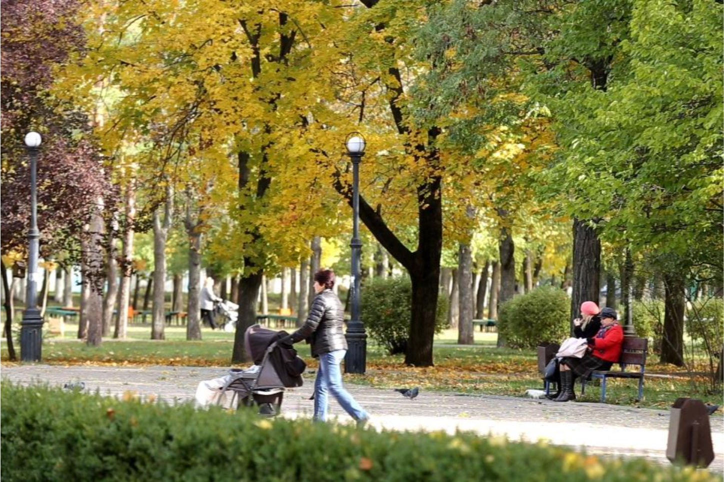 Погода сегодня в Приднестровье: облачно с прояснениями, до +18°C