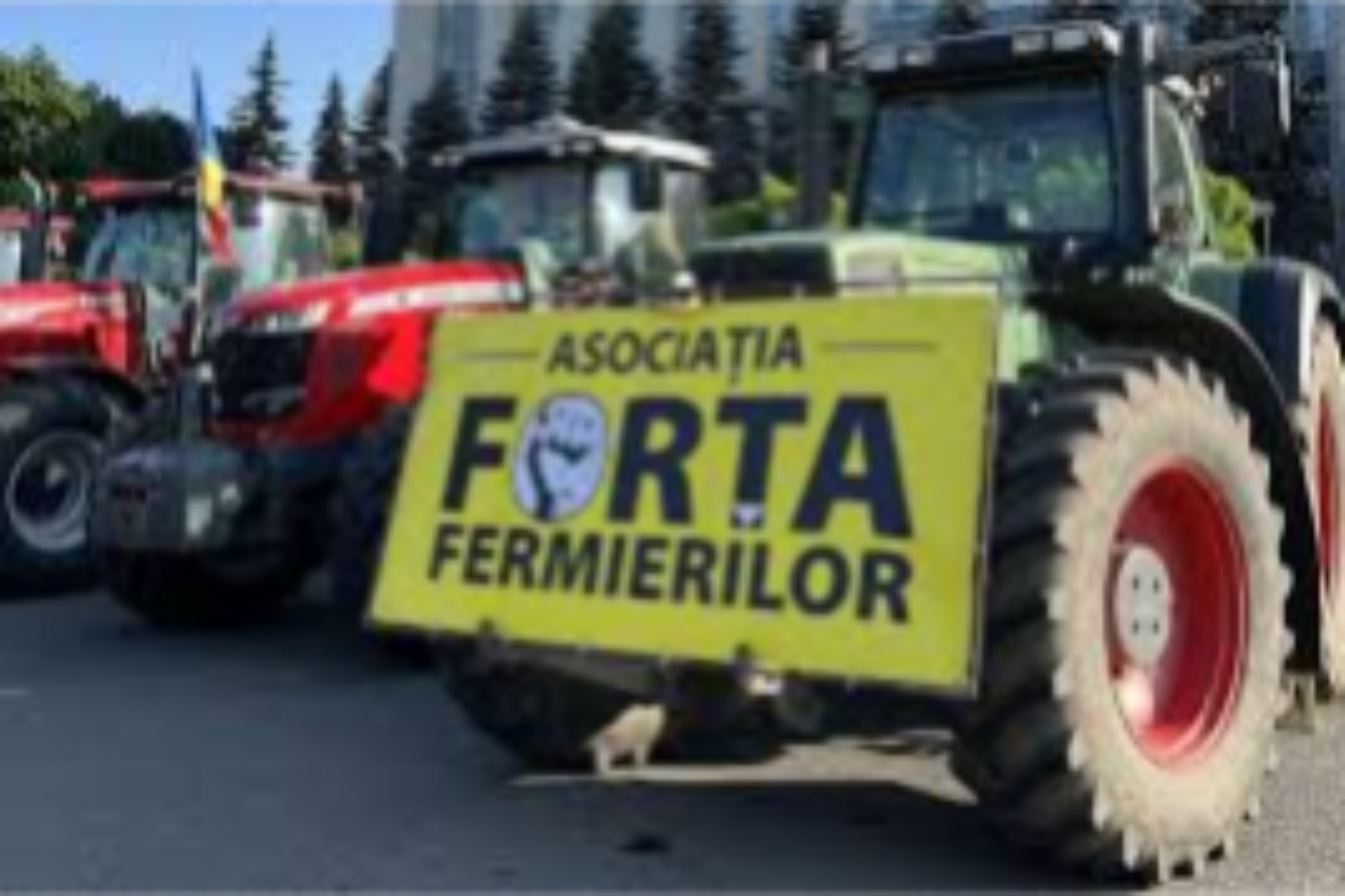 Фермеры Молдовы сделали ставку на урожай вместо протестов