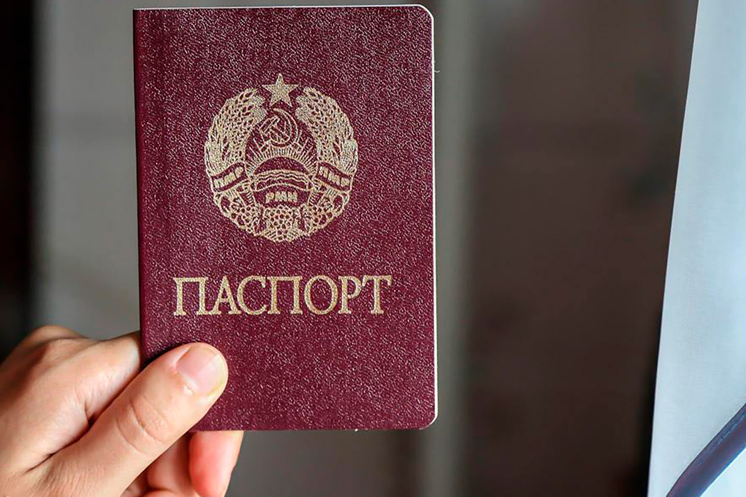 Россия готовит массовое оформление гражданства по упрощенной схеме