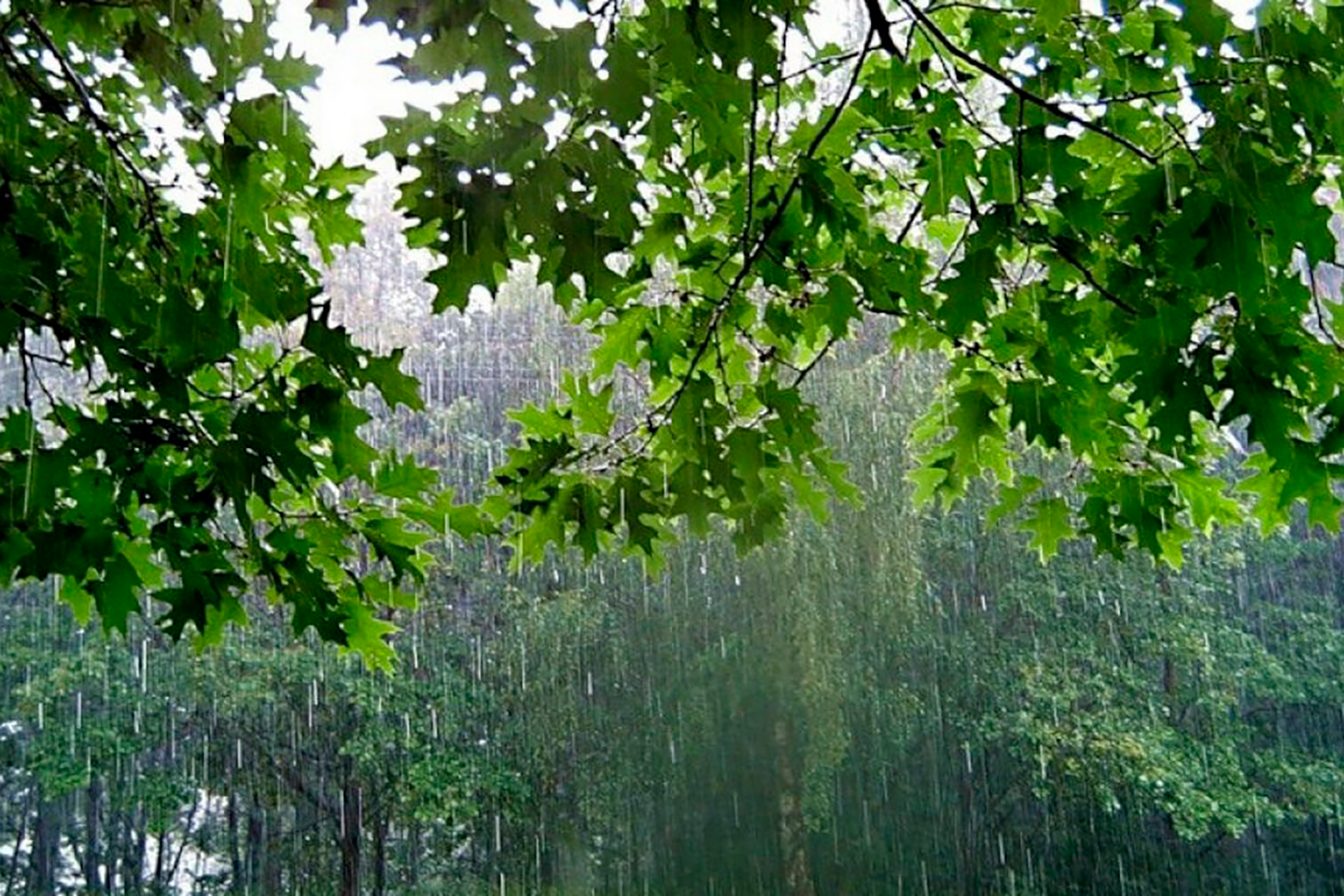pogoda 17sept