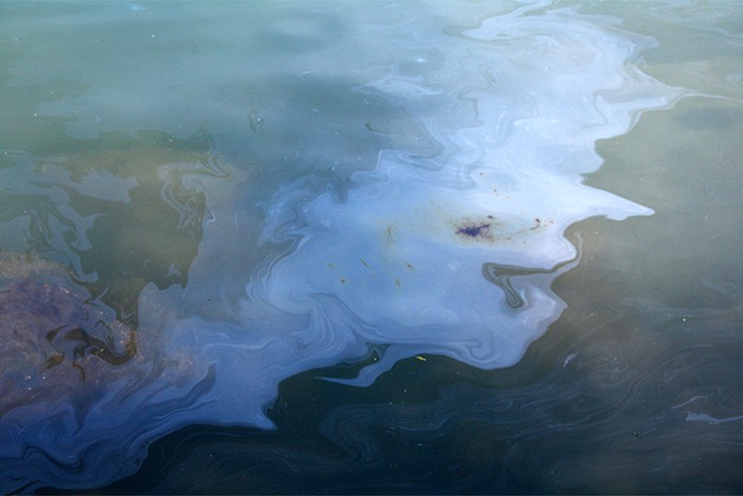В Приднестровье заговорили о скрытом экологическом кризисе на Днестре