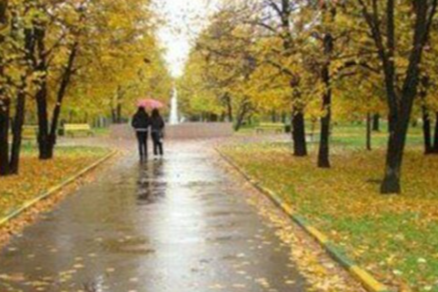 Прогноз погоды в Приднестровье на 20 октября: прохладно, облачно, без осадков