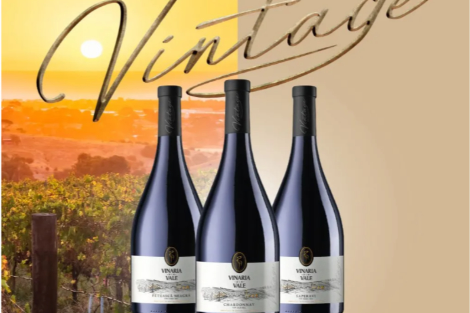 Винный сектор Молдовы укрепляет позиции после успеха на MUNDUS VINI 2026